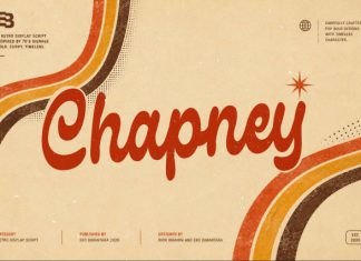 Chapney Font preview image 1