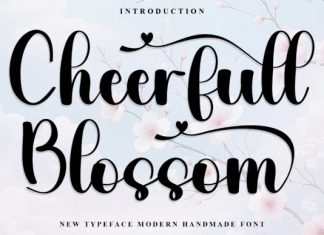 Cheerfull Blossom Font preview image 1