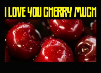 Cherrys Font preview image 3