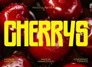 Cherrys Font preview image 1