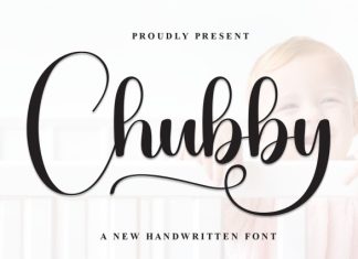 Chubby Font preview image 1