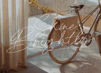 Clandestine Script Font preview image 3
