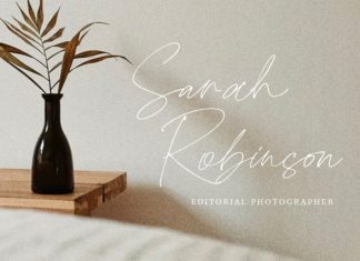 Clandestine Script Font preview image 2