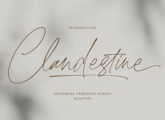 Clandestine Script Font preview image 1