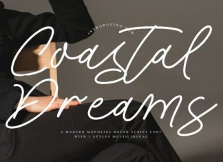 Coastal Dreams Font preview image 1
