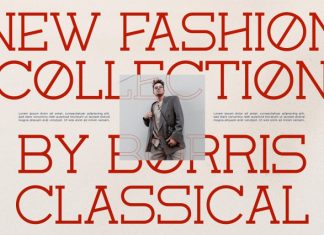 Corina Elegant Font preview image 3