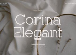 Corina Elegant Font preview image 1
