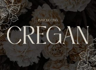 Cregan Font preview image 1
