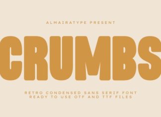 Crumbs Font preview image 1