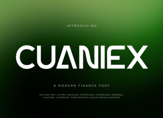 Cuaniex – Modern Finance Font preview image 1