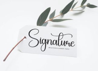 Daytime Font preview image 3