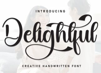 Delightful Font preview image 1