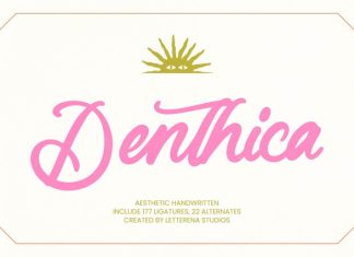 Denthica Font preview image 1