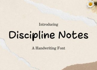 Discipline Notes Font preview image 1