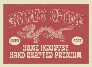 Disco Paradise Font preview image 3
