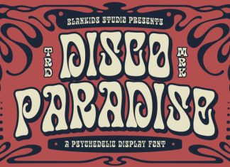 Disco Paradise Font preview image 1