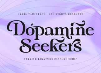 Dopamine Seekers Font preview image 1