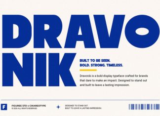 Dravonik Font preview image 1