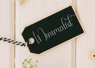 Elegant Magnolia Font preview image 3