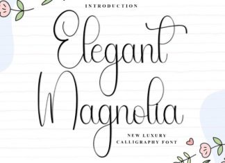 Elegant Magnolia Font preview image 1