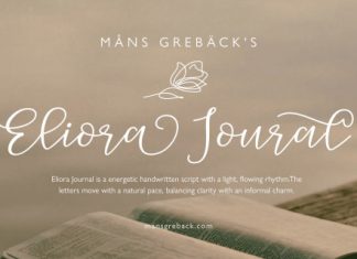 Eliora Journal Script Font preview image 1