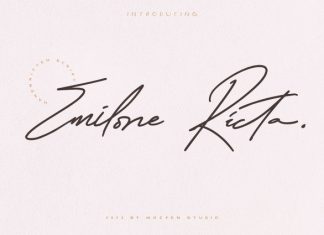 Emilone Ricta Font preview image 1