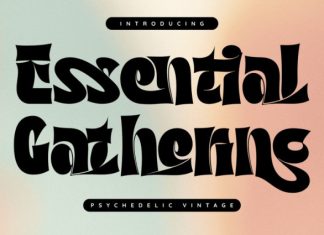 Essential Gathering Font preview image 1