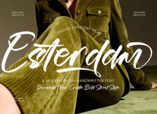 Esterdam Font preview image 1