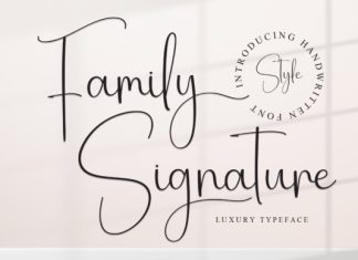 Family Signature Font preview image 1