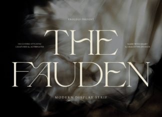 Fauden Font preview image 1