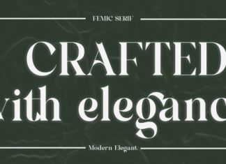 Femic Font preview image 2