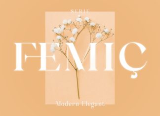 Femic Font preview image 1
