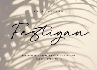 Festigan Font preview image 1