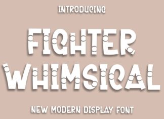 Fighter Whimsical Font preview image 1