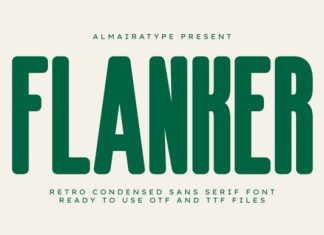 Flanker Font preview image 1