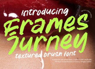 Frames Jurney Font preview image 1