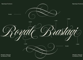Francy Tiguan Font preview image 3