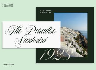 Francy Tiguan Font preview image 2