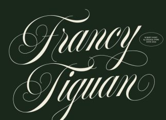Francy Tiguan Font preview image 1