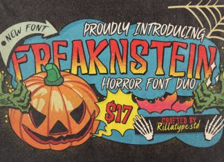 Freaknstein Script Font preview image 1