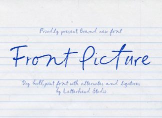 Front Picture Font preview image 1