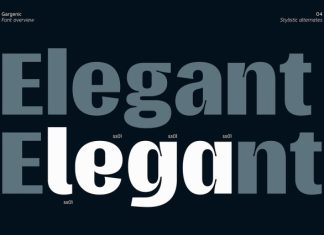 Gargenic Font preview image 2