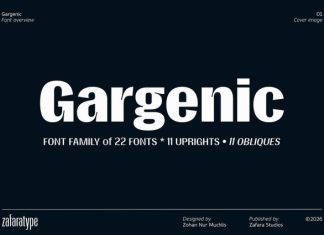 Gargenic Font preview image 1