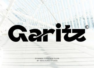 Garitz Font preview image 1