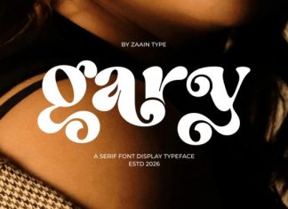 Gary Font preview image 1