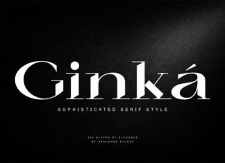Ginka Font preview image 1