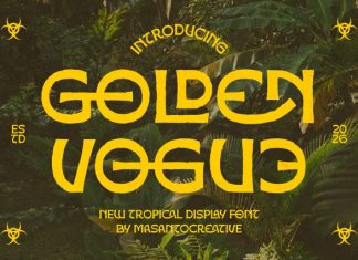 Golden Vogue Font preview image 1