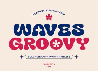 Groovy Waves Font preview image 1