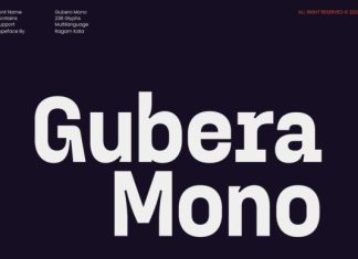 Gubera Mono Font preview image 1