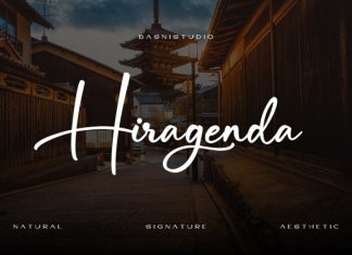 Hiragenda Font preview image 1